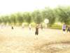 p1000362_small.jpg