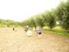 p1000370_small.jpg