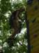 p1000538_small.jpg