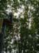 p1000539_small.jpg