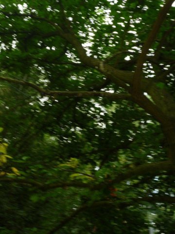 p1000541.jpg