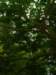 p1000541_small.jpg