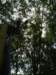 p1000542_small.jpg